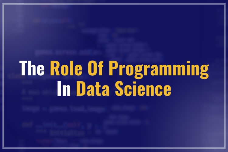 The Role of Programming in Data Science