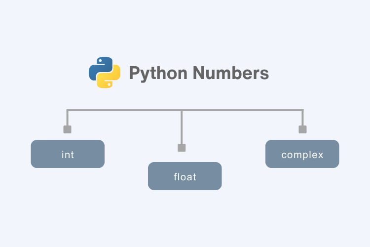 Numeric Data type